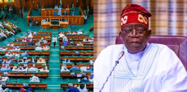 Photo of House of representative and President Bola Tinubu